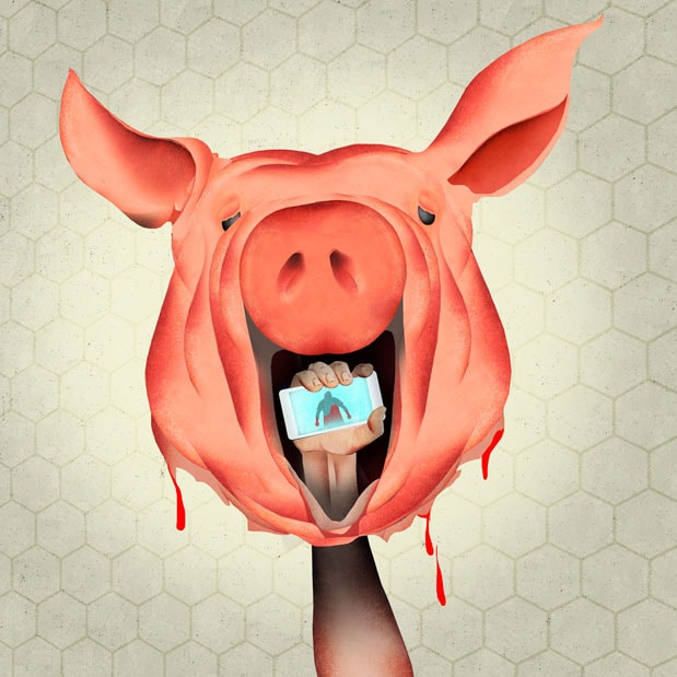 Pig head illustration