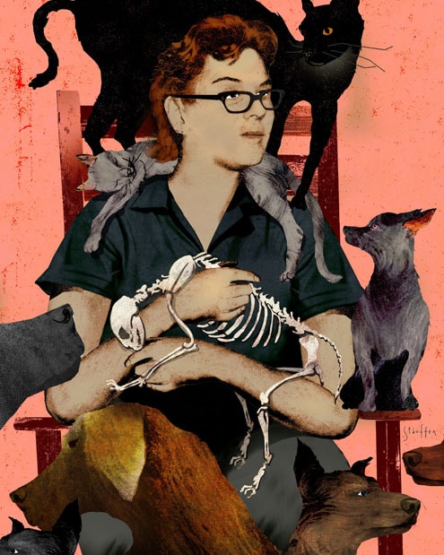 Hoarding Animals illustration