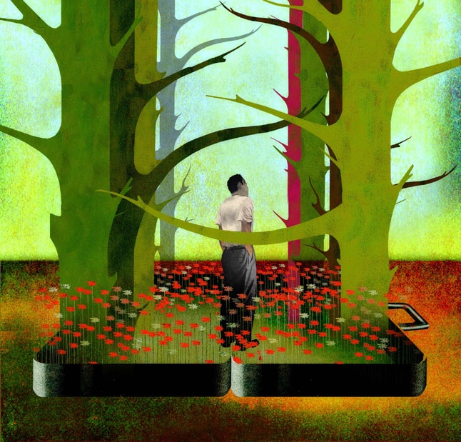 Nature Traveler illustration