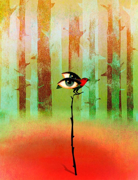Transcendentalism illustration